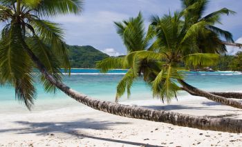 Rondreis Seychellen #1