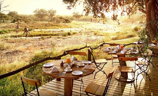 Timbavati: Motswari Game Lodge