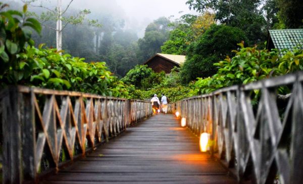 Danum Valley: Borneo Rainforest Lodge