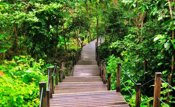 Sepilok: MY Nature Resort