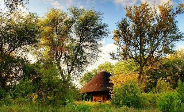 Timbavati: Motswari Game Lodge