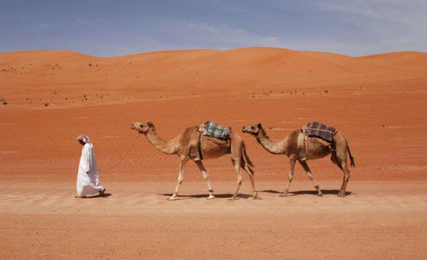 Sharqiyah woestijn: Desert Nights Camp