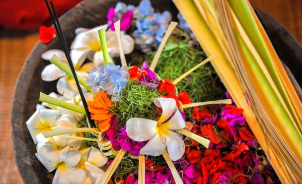 Terugvlucht en thuiskomst