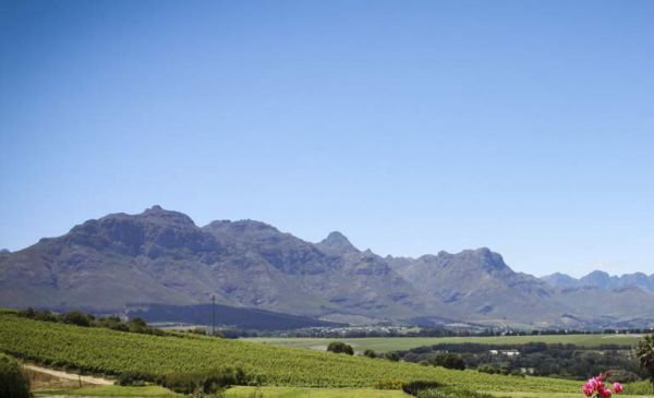 Stellenbosch: Asara Wine Estate