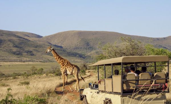 Nkomazi: Nkomazi Game Reserve