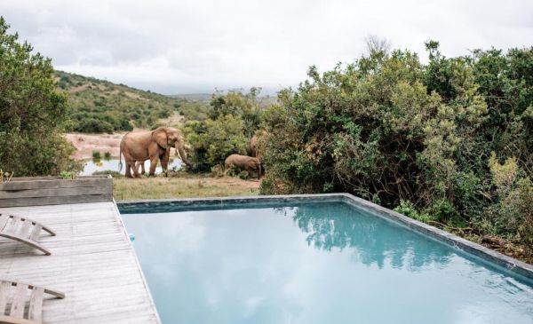 Addo: Amakhala Game Reserve - Bukela Game Lodge