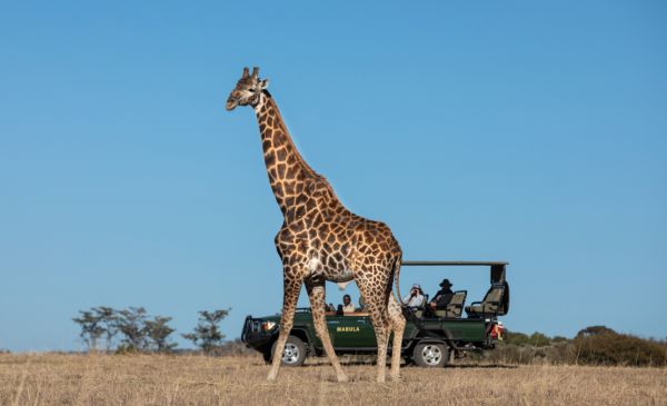 Waterberg: Kwafubesi Tented Camp